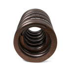 Valve Springs - H - Series DOHC VTEC - BLOX Racing