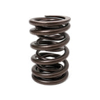 Valve Springs - H - Series DOHC VTEC - BLOX Racing