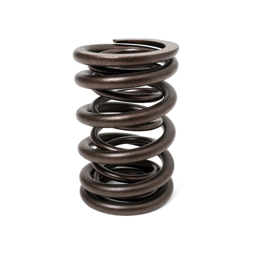 Valve Springs - H - Series DOHC VTEC - BLOX Racing