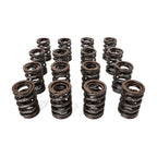 Valve Springs - H - Series DOHC VTEC - BLOX Racing