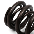 Valve Springs - K - Series DOHC iVTEC - BLOX Racing