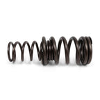 Valve Springs - K - Series DOHC iVTEC - BLOX Racing