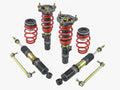 Skunk2 Pro-ST Series Coilovers - Honda Civic Si Models (2017-2020)