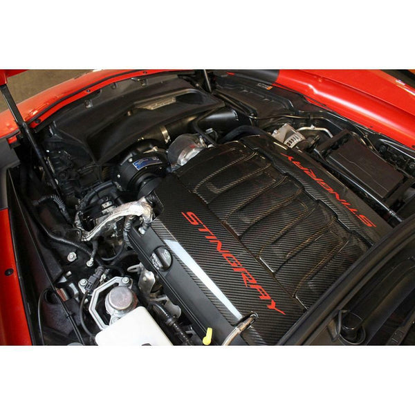 APR Performance Carbon Fiber Fuel Rail Covers - Chevrolet Corvette C7 Z51 (2014-2019)