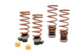 Megan Racing x Swift Pro S Coilover Hi Low Lowering Kit - BMW M6 Gran Coupe F06 (2013-2018)