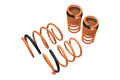 Megan Racing Lowering Springs - Acura RSX & Type S (2005-2006)