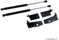 Phase 2 Motortrend (P2M) Black Series Engine Hood Bonnet Dampers Set - Lexus IS300 JCE10 (2001-2005)