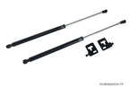 Phase 2 Motortrend (P2M) Black Series Engine Hood Bonnet Dampers Set - Honda Civic EK  (1996-2000)