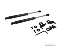 P2M Caron Series Hood Dampers - Infiniti G35 (2003-2007)
