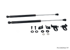 P2M Carbon Hood Dampers - Nissan R35 GT-R (2008+) - P2-CHDR35-TP