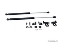 P2M Carbon Hood Dampers - Nissan R35 GT-R (2008+) - P2-CHDR35-TP