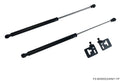 P2M Black Series Hood Dampers - Acura Integra DC2 DC4 (94-01)