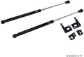 P2M Black Hood Dampers - Honda Odyssey (2005-2007)