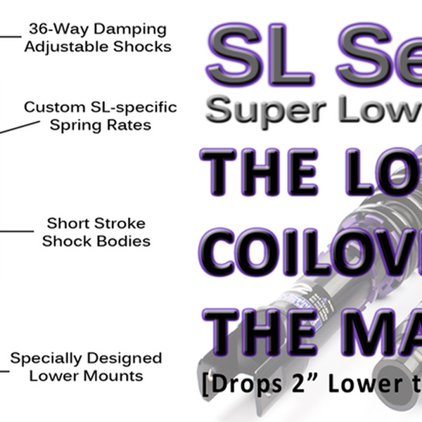 D2 Racing SL Series (Super Low) Coilovers -  Acura Integra DC (1994-2001)