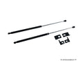 P2M Black Hood Dampers - Ford Mustang (2005-2009)