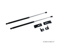 P2M Black Hood Dampers - Ford Mustang S197 (2010-2014)
