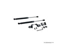 P2M Black Hood Dampers - Nissan Z33 350Z (2003-2009) - P2-BHDN350Z-TP