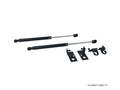 P2M Black Hood Dampers - Toyota Corolla AE86 - P2-BHDTYAE86-TP