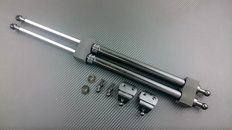 P2M Black Series Rear Hatch Lid Dampers - Nissan Z33 350Z (2003-2008) - P2-BRHD350Z-TP