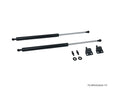 P2M Black Series Rear Hatch Lid Dampers - Nissan Z33 350Z (2003-2008) - P2-BRHD350Z-TP