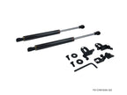Phase 2 Motortrend (P2M) Black Series Engine Hood Bonnet Dampers Set -Infiniti G35 (2003-2007)