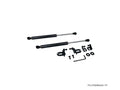 P2M Carbon Hood Dampers - Nissan Z33 350Z (2003-2009) - P2-CHDN350Z-TP