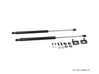 P2M Carbon Hood Dampers - Toyota Corolla AE86 - P2-CHDTYAE86-TP