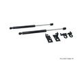 P2M Carbon Hood Dampers - Toyota 86 (2016+) - P2-CHDTYZN6-TP