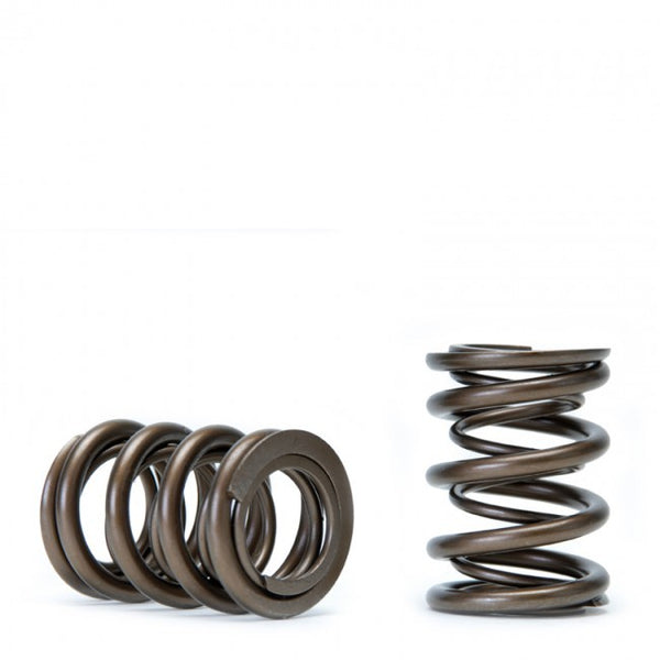 Skunk2 Racing Alpha Valve Spring Set - Acura / Honda B Series B16 B17 B18 VTEC