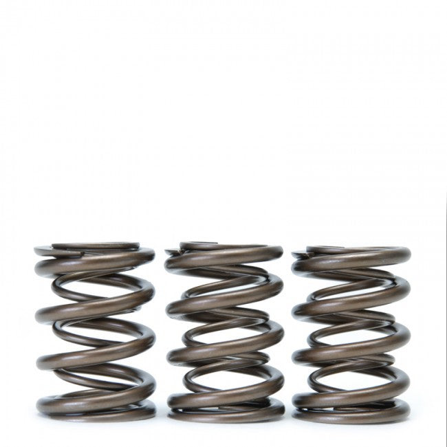 Skunk2 Racing Alpha Valve Spring Set - Acura / Honda B Series B16 B17 B18 VTEC