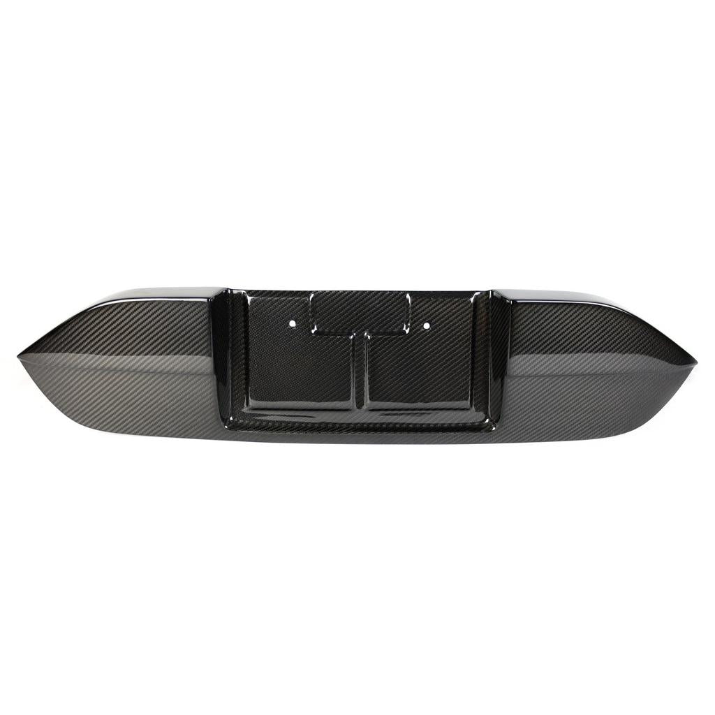 APR Performance Carbon Fiber License Plate Backing - Honda Civic Type R FK8 (2017-2021)