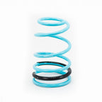 GSP Godspeed Project Traction-S Performance Lowering Springs - Ford Mustang 2005-10