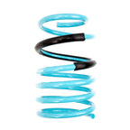 GSP Godspeed Project Traction-S Performance Lowering Springs - Porsche Cayman (981) 2012-16