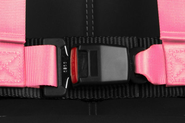 BRAUM Racing 4 Point 2" Strap Racing Single Harness - Pink