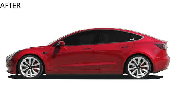 Eibach PRO-KIT Performance Lowering Springs - Tesla Model 3 Performance AWD (2017+)